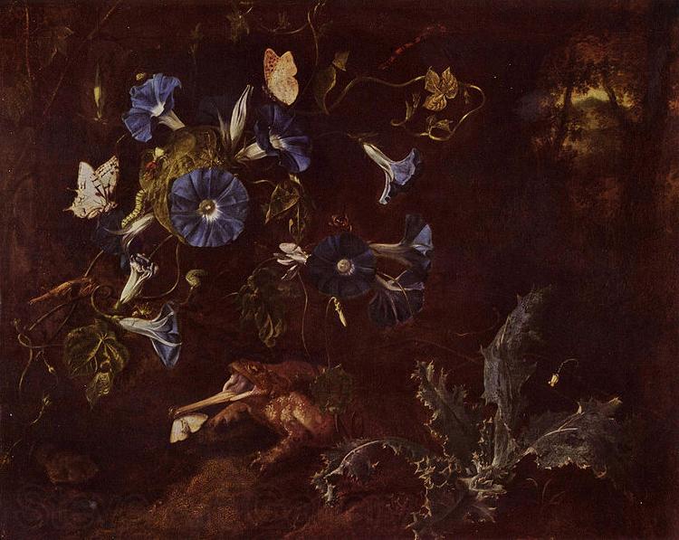 SCHRIECK, Otto Marseus van Blaue Winde Kroe und Insekten Spain oil painting art